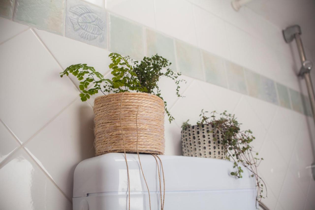 Amarilis Rooms Groznjan Bagian luar foto