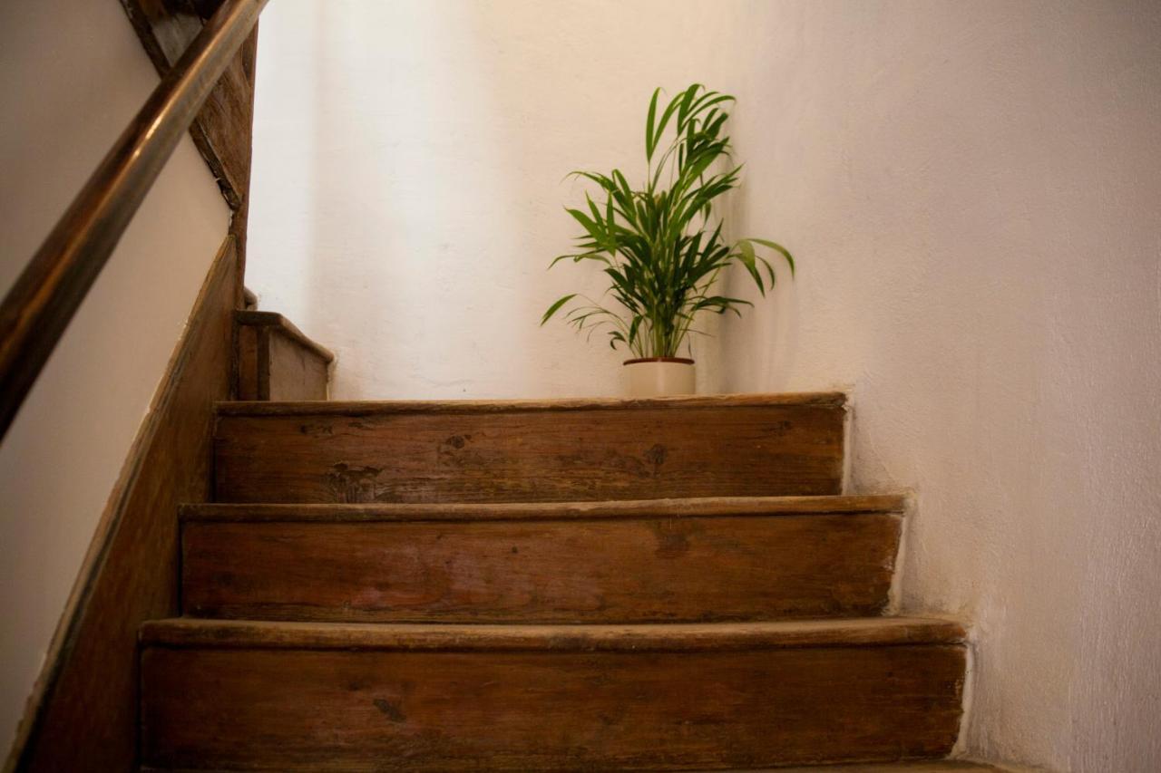 Amarilis Rooms Groznjan Bagian luar foto